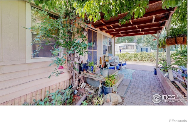 4251 Grand Teton Rd, Greeley, CO 80634 - photo 4