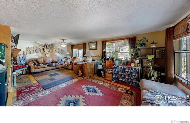 4251 Grand Teton Rd, Greeley, CO 80634 - photo 10