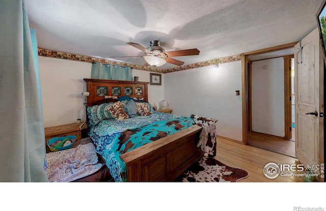 4251 Grand Teton Rd, Greeley, CO 80634 - photo 14