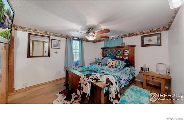 4251 Grand Teton Rd, Greeley, CO 80634 - photo 15
