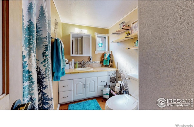 4251 Grand Teton Rd, Greeley, CO 80634 - photo 16