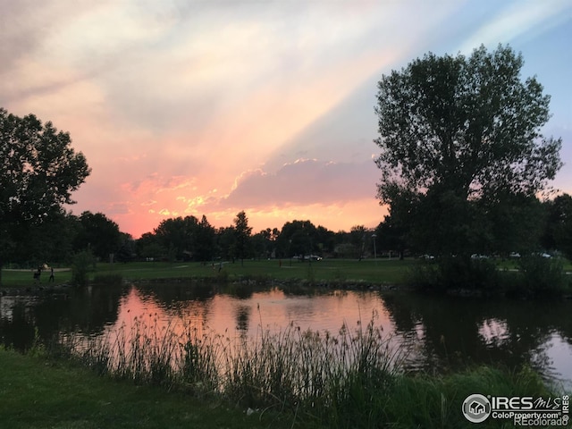 1218 Sunset St, Longmont, CO 80501 - photo 30
