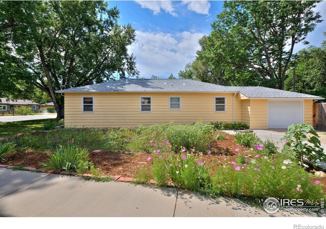 1157 Gay St, Longmont, CO 80501 - photo 3