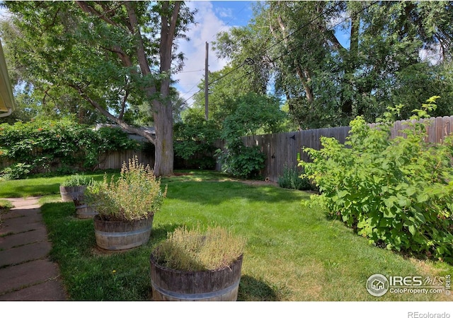 1157 Gay St, Longmont, CO 80501 - photo 28