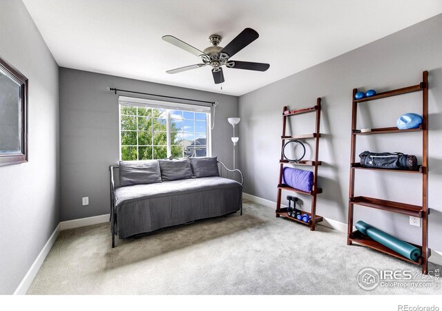 1730 Weston Cir, Erie, CO 80516 - photo 19