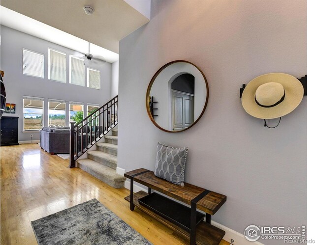 1730 Weston Cir, Erie, CO 80516 - photo 23