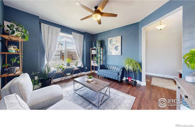 6499 Black Hills Ave, Loveland, CO 80538 - photo 6