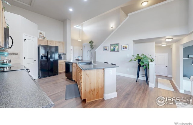 6499 Black Hills Ave, Loveland, CO 80538 - photo 10