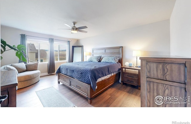 6499 Black Hills Ave, Loveland, CO 80538 - photo 15