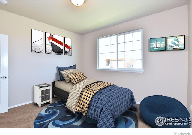 626 86th Ave, Greeley, CO 80634 - photo 9