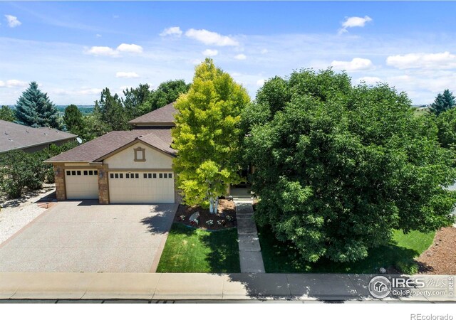 1591 Landon Ct, Windsor, CO 80550 - photo 3
