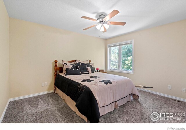 1591 Landon Ct, Windsor, CO 80550 - photo 26