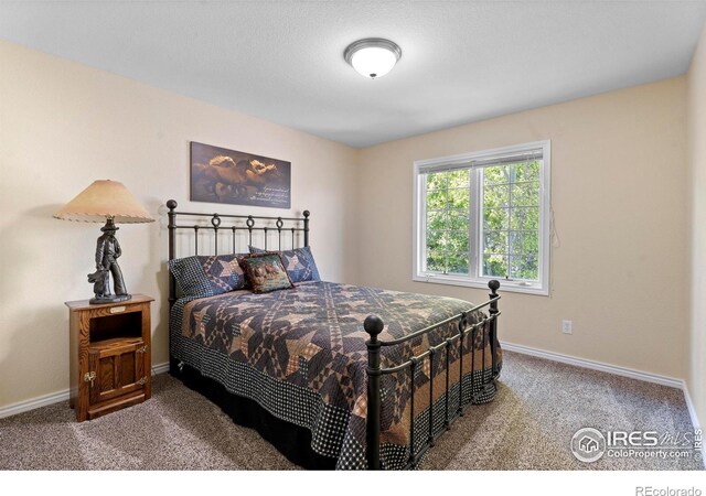 1591 Landon Ct, Windsor, CO 80550 - photo 27