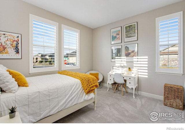 7055 Lightning Ct, Timnath, CO 80547 - photo 37