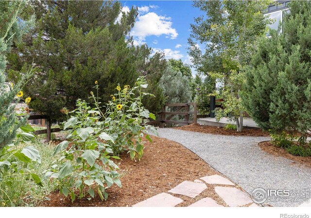 1070 Northridge Dr, Erie, CO 80516 - photo 3