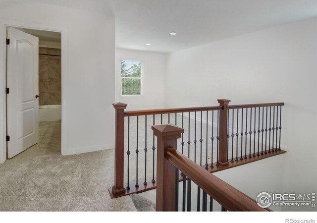 1416 Monroe Ct, Longmont, CO 80501 - photo 20