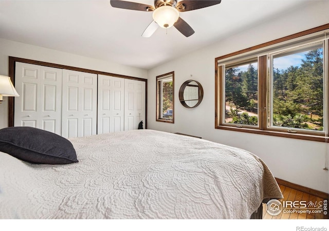 419 Whispering Pines Dr, Estes Park, CO 80517 - photo 19
