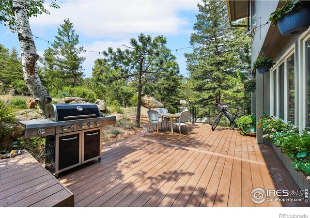 419 Whispering Pines Dr, Estes Park, CO 80517 - photo 29