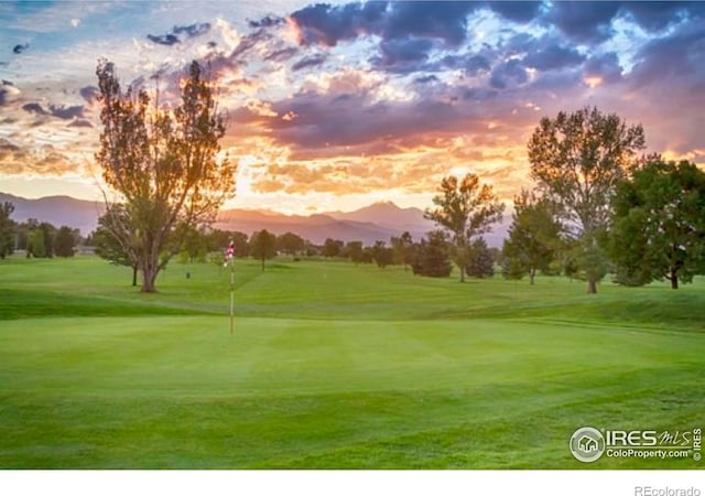 115 Baylor Dr, Longmont, CO 80503 - photo 32