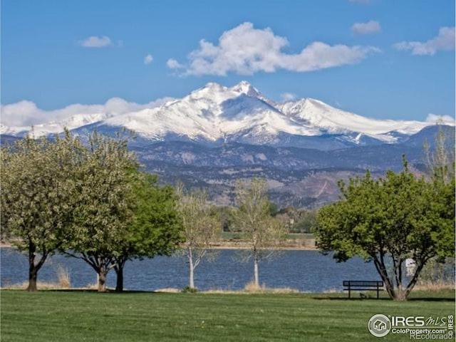 115 Baylor Dr, Longmont, CO 80503 - photo 33