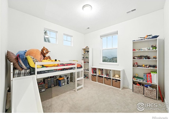 1971 Merrill Cir W, Erie, CO 80516 - photo 23