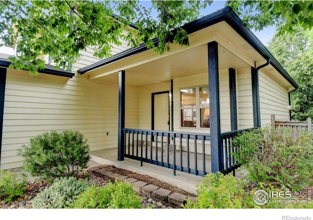 1545 Corydalis Ct, Fort Collins, CO 80526 - photo 1