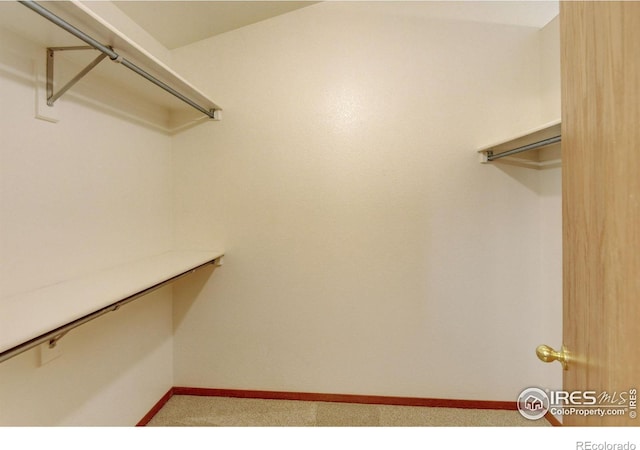 1545 Corydalis Ct, Fort Collins, CO 80526 - photo 29