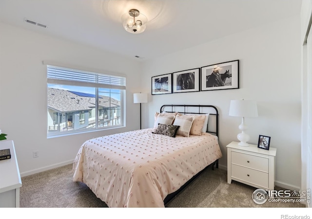 919 Schlagel St Unit 2, Fort Collins, CO 80524 - photo 22