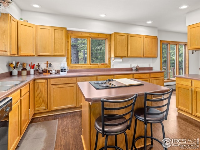 255 Apache, Lyons, CO 80540 - photo 5