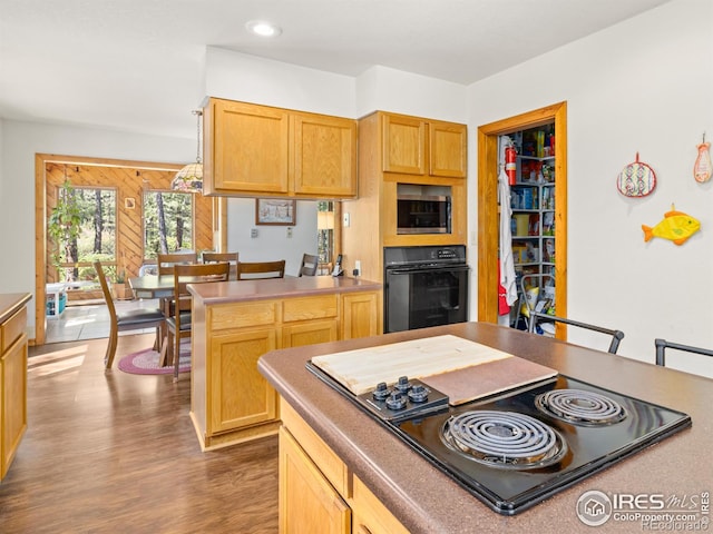 255 Apache, Lyons, CO 80540 - photo 8
