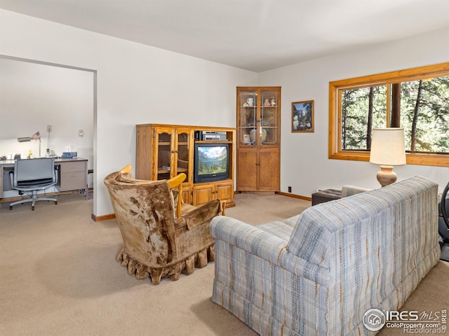 255 Apache, Lyons, CO 80540 - photo 20