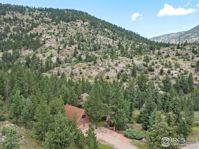 255 Apache, Lyons, CO 80540 - photo 24