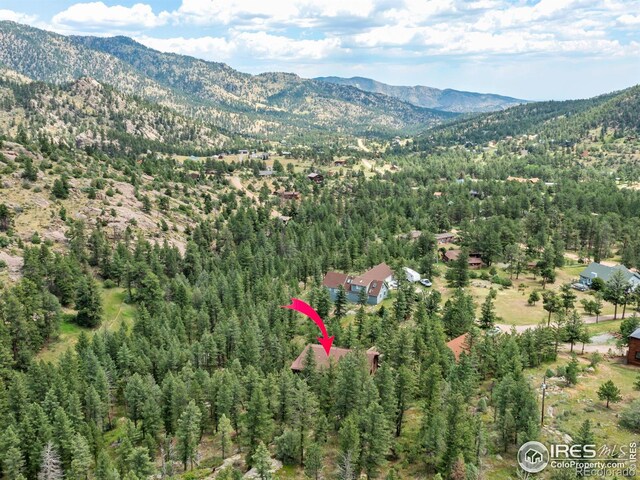 255 Apache, Lyons, CO 80540 - photo 29