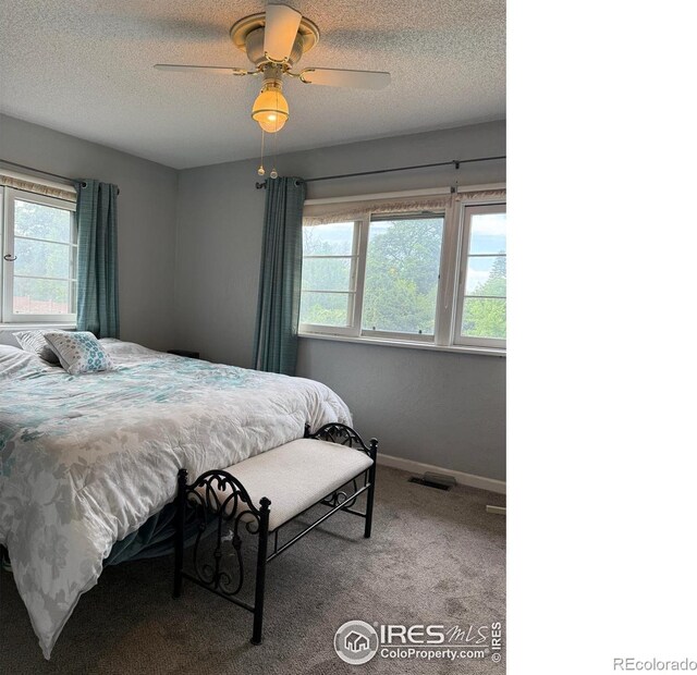 2204 20th St, Greeley, CO 80631 - photo 9