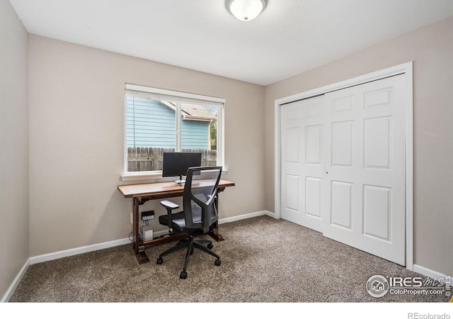 1848 Chesapeake Cir, Johnstown, CO 80534 - photo 20