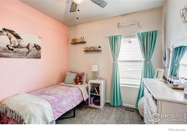 11209 Charles St, Firestone, CO 80504 - photo 24