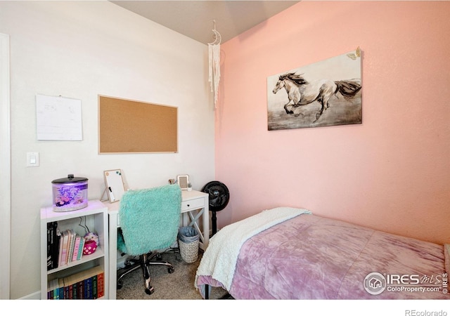 11209 Charles St, Firestone, CO 80504 - photo 25