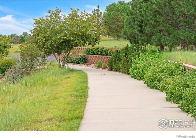 4518 Silver Mountain Loop, Broomfield, CO 80023 - photo 34