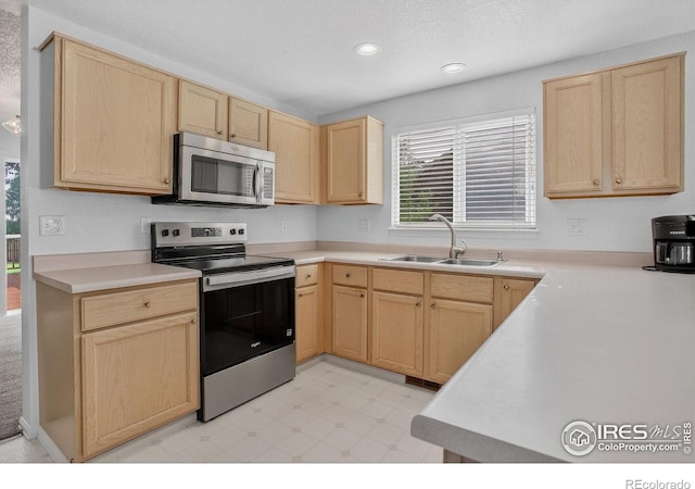 139 Autumn Ct, Erie, CO 80516 - photo 13