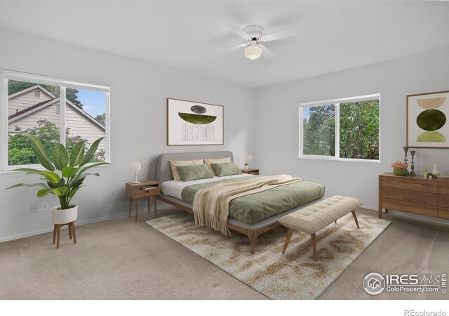 139 Autumn Ct, Erie, CO 80516 - photo 18