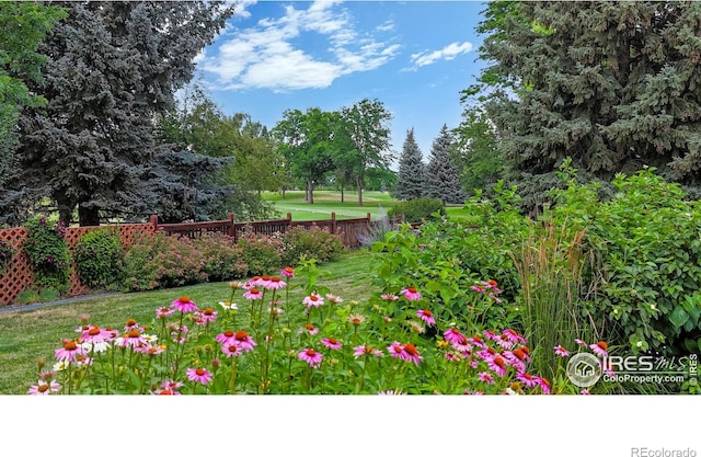 1412 Ticonderoga Dr, Fort Collins, CO 80525 - photo 32