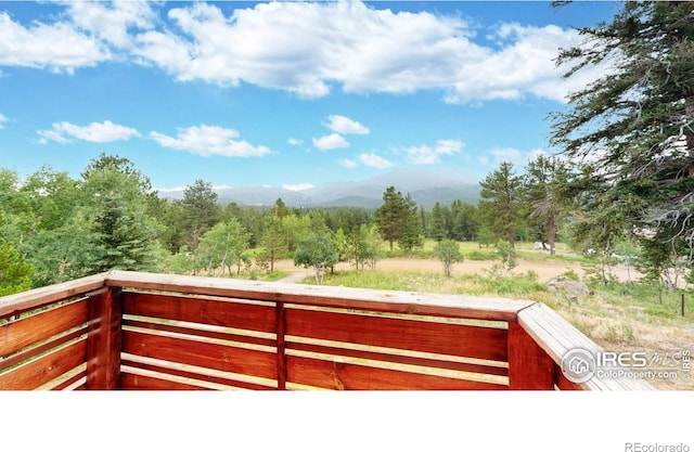 1013 Lazy Z Rd, Nederland, CO 80466 - photo 16