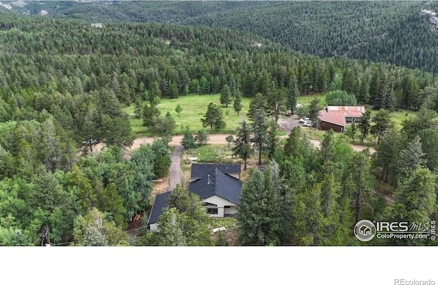 1013 Lazy Z Rd, Nederland, CO 80466 - photo 25
