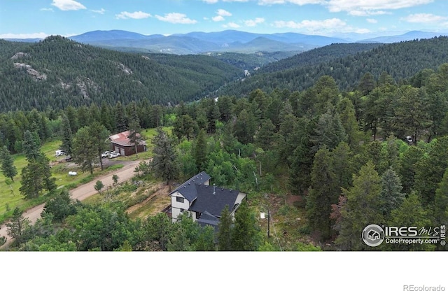 1013 Lazy Z Rd, Nederland, CO 80466 - photo 27