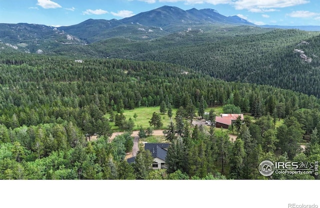 1013 Lazy Z Rd, Nederland, CO 80466 - photo 28