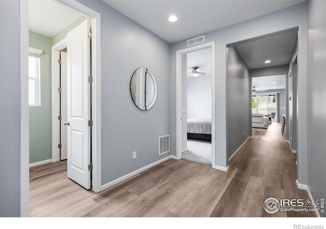 5725 Bay Hill Dr, Windsor, CO 80528 - photo 4