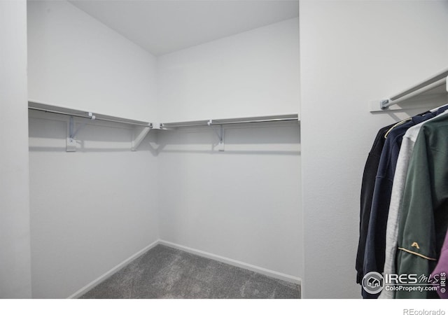 5725 Bay Hill Dr, Windsor, CO 80528 - photo 25