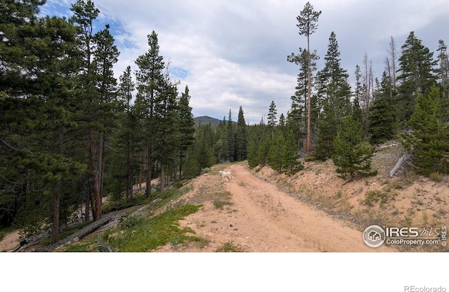Pearl Creek Rd, Red Feather Lakes, CO 80545 - photo 2