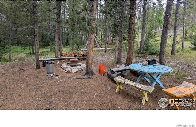 Pearl Creek Rd, Red Feather Lakes, CO 80545 - photo 4