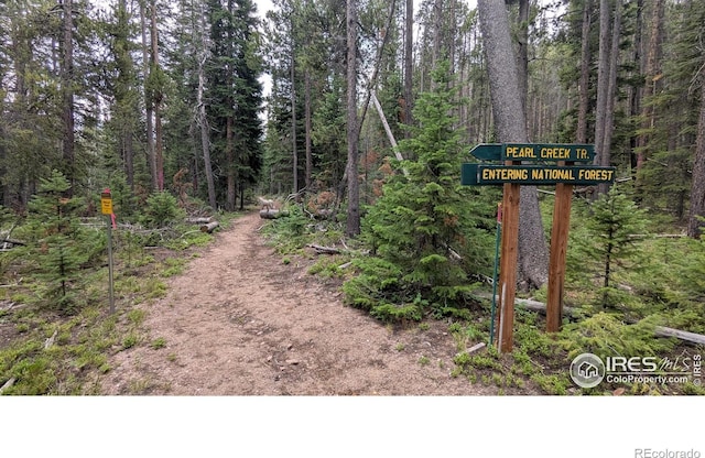 Pearl Creek Rd, Red Feather Lakes, CO 80545 - photo 5